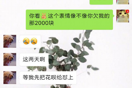 鄂州要账公司更多成功案例详情